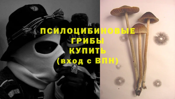 2c-b Аркадак