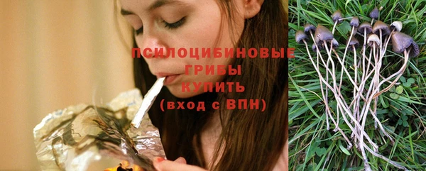 круглые Армянск