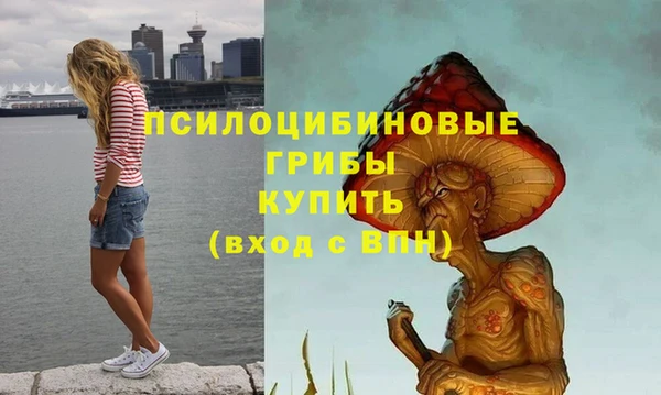 ECSTASY Арсеньев