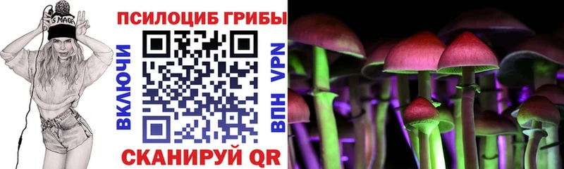 цена   Сердобск  Галлюциногенные грибы Cubensis 